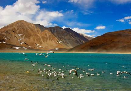 9 Days in Leh Ladakh